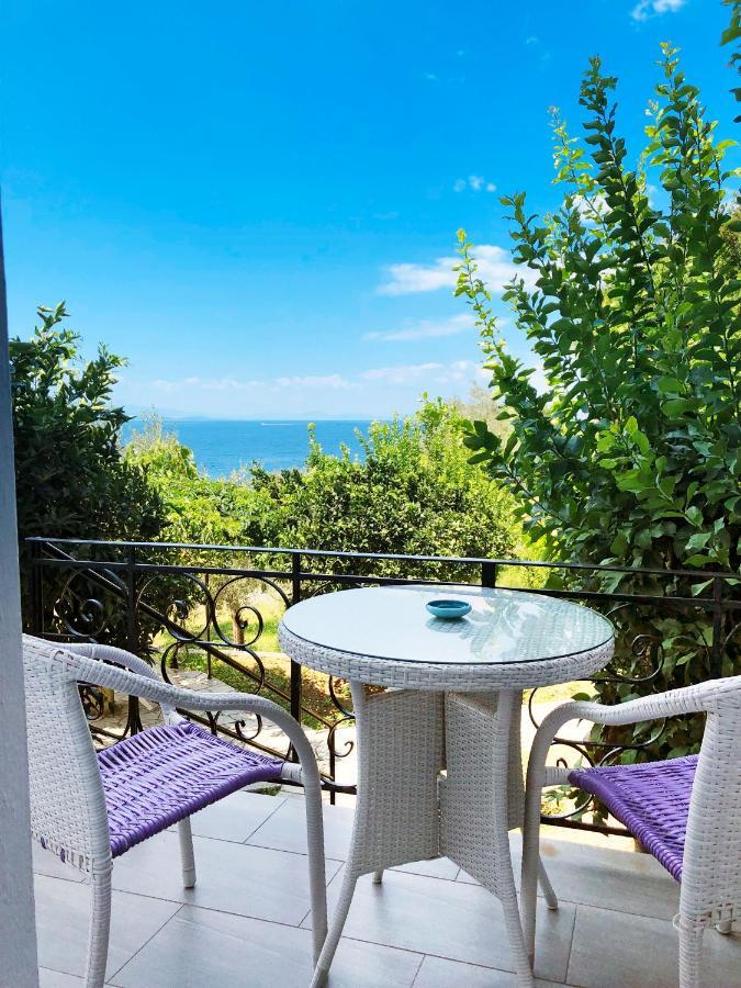 Lefkothea Studios Khórto Dış mekan fotoğraf